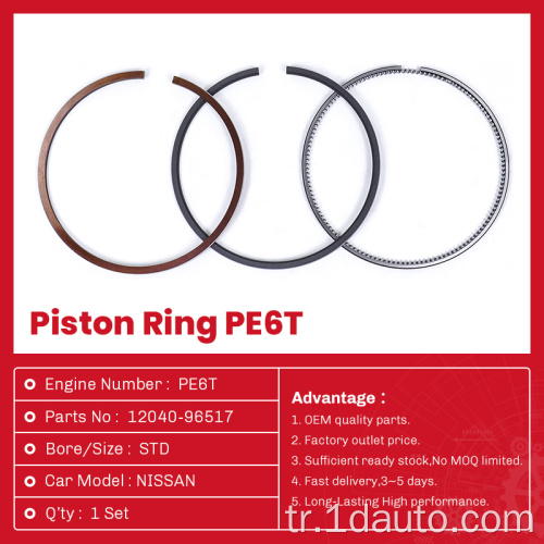 Nissan motoru PE6T için 12040-96517 piston halka seti